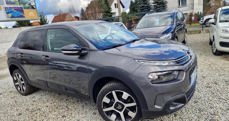 Citroen C4 Cactus cena 54900 przebieg: 35000, rok produkcji 2019 z Sulechów małe 154